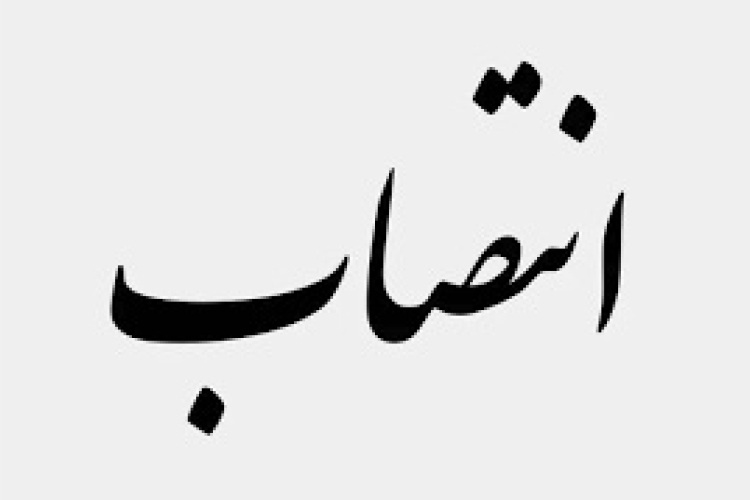 سرپرست گروه های آموزشی علوم اقتصادی، مدیریت و حسابداری دانشگاه منصوب شد.