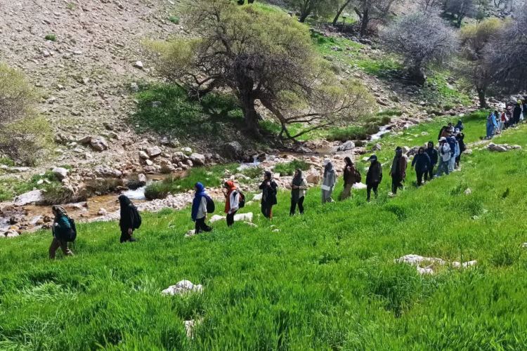 اردوی کوهنوردی جمعی از دانشجویان دختر دانشگاه به ارتفاعات  یکی از کوههای اطراف یاسوج