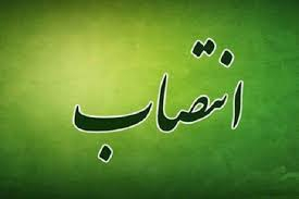 سرپرست معاونت آموزشی و تحصیلات تکمیلی دانشگاه منصوب شد