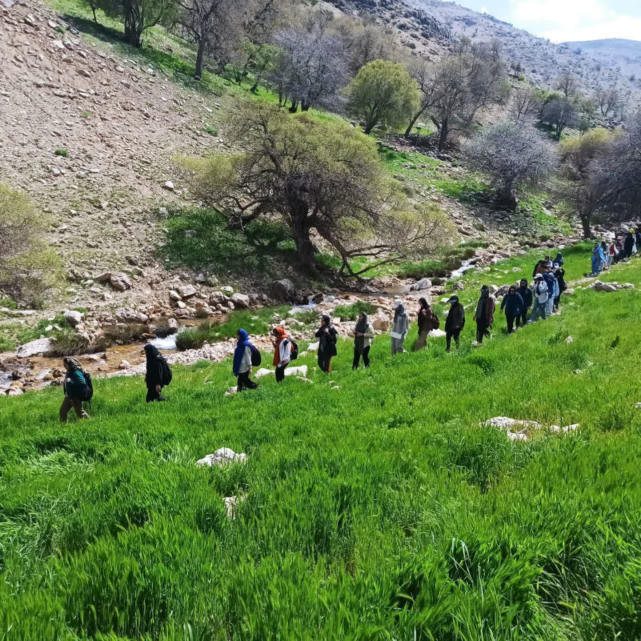 اردوی کوهنوردی جمعی از دانشجویان دختر دانشگاه به ارتفاعات  یکی از کوههای اطراف یاسوج